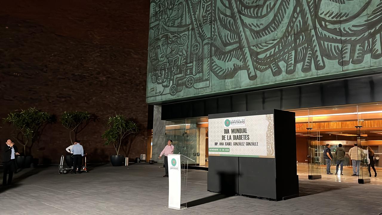 Cámara de Diputados 2024 Cámara de Diputados 2024