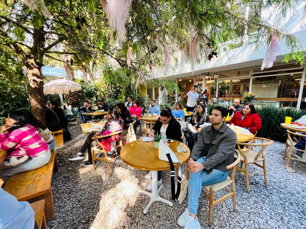 otilia 2024 otilia 2024