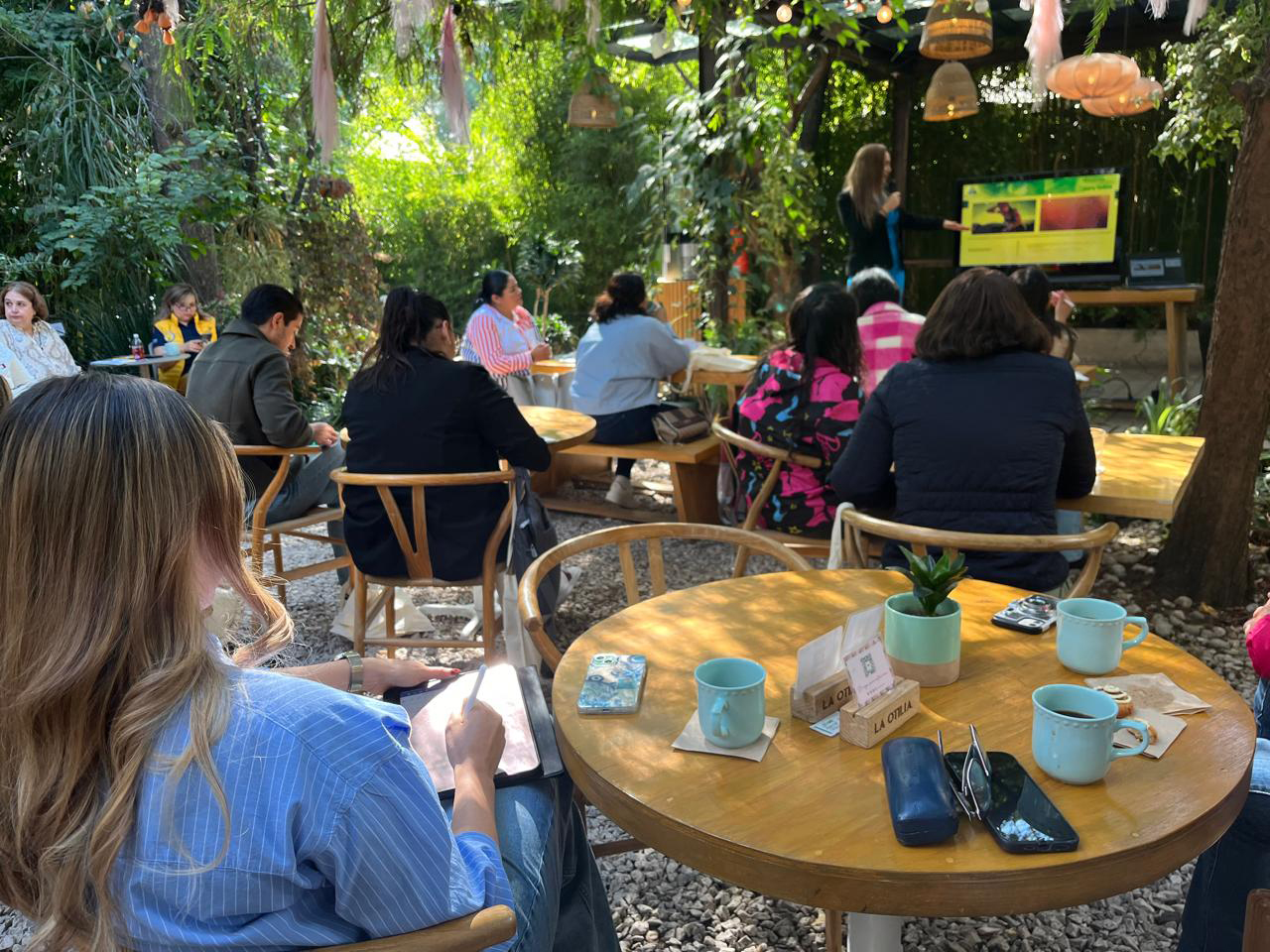 otilia 2024 otilia 2024